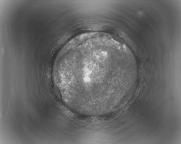 X0000064770305200603031832