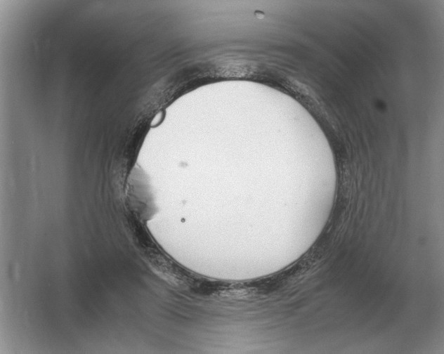 X0000064770307200603031832