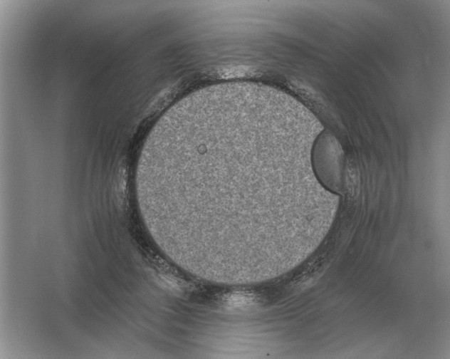 X0000064770308200603031832