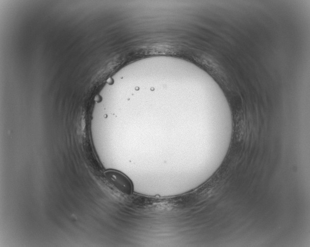 X0000064770310200603031832