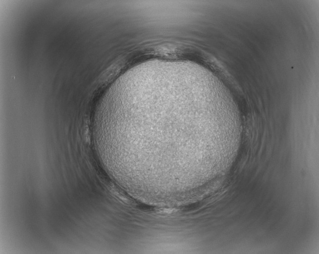 X0000064770313200603031832