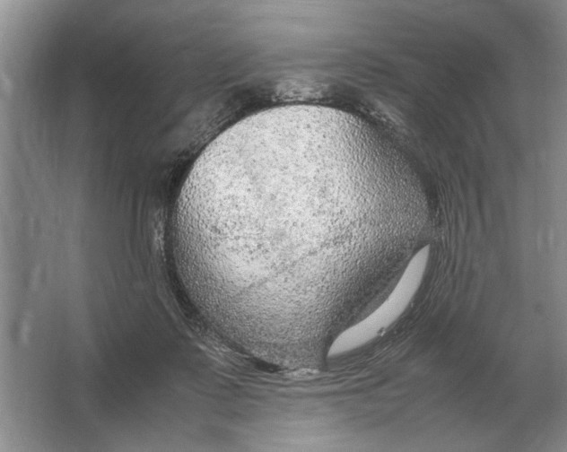 X0000064770315200603031832