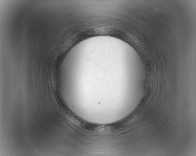 X0000064770317200603031832