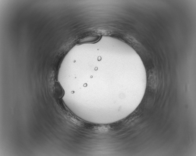 X0000064770318200603031832