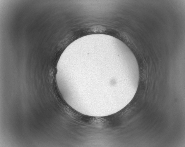 X0000064770321200603031832