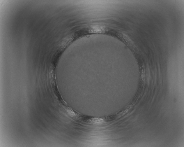 X0000064770322200603031832