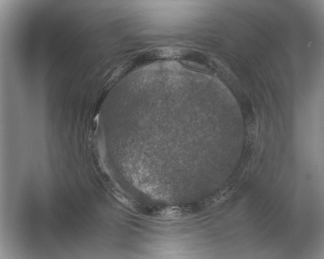 X0000064770325200603031832