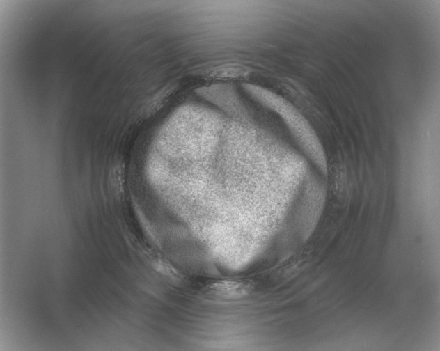 X0000064770326200603031832