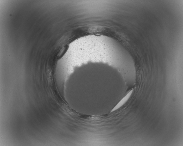 X0000064770327200603031832