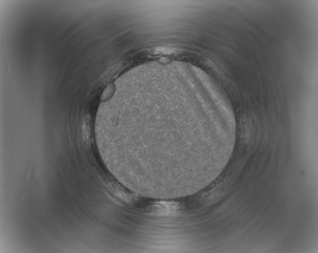 X0000064770328200603031832