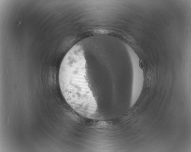 X0000064770330200603031832