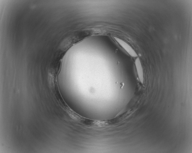 X0000064770333200603031832