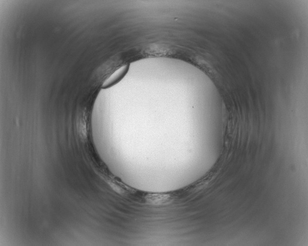 X0000064770334200603031832