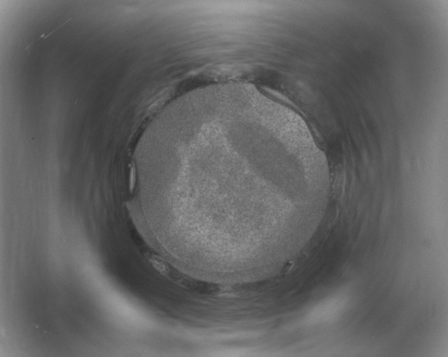 X0000064770335200603031832