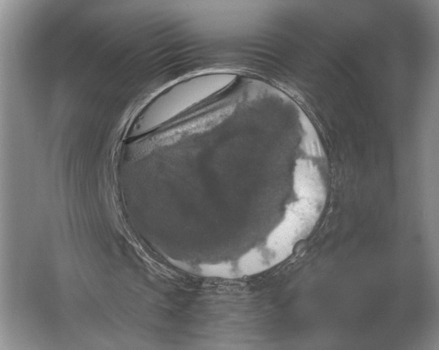 X0000064770337200603031831