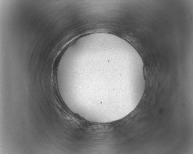 X0000064770338200603031831