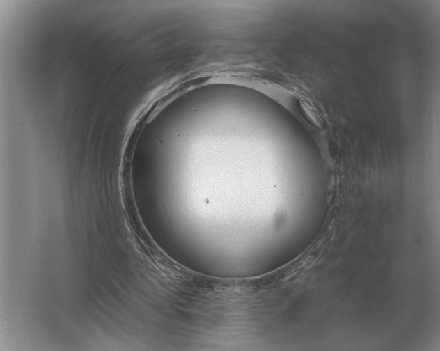 X0000064770340200603031831