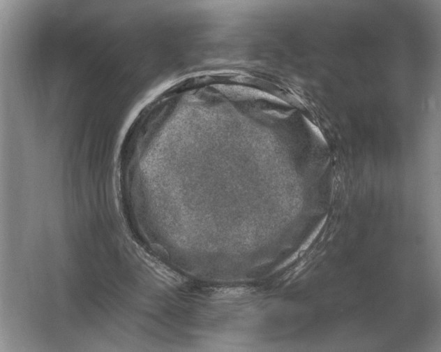 X0000064770342200603031831