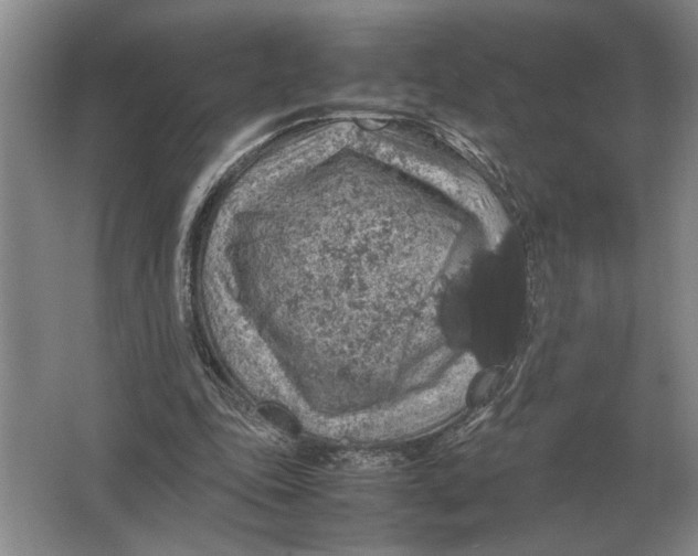 X0000064770343200603031831