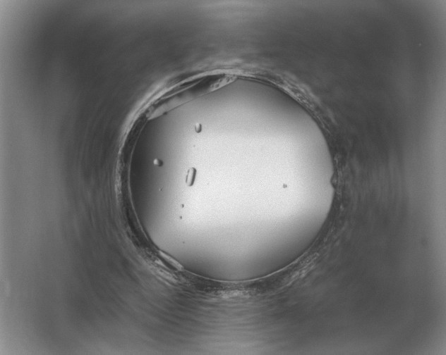 X0000064770344200603031831