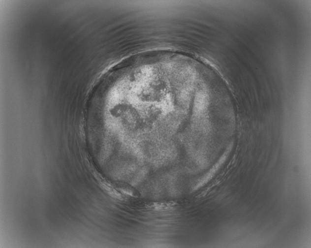 X0000064770345200603031831