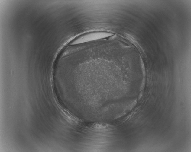 X0000064770346200603031831