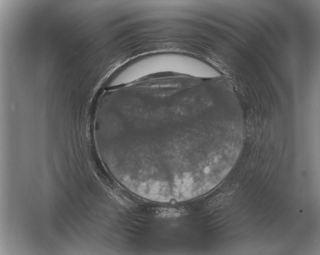 X0000064770347200603031831