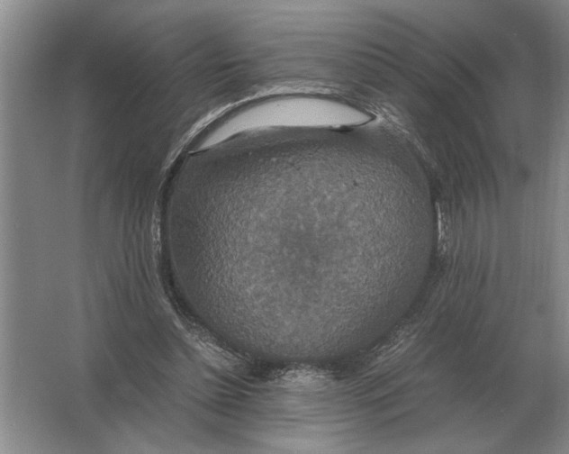 X0000064770348200603031831