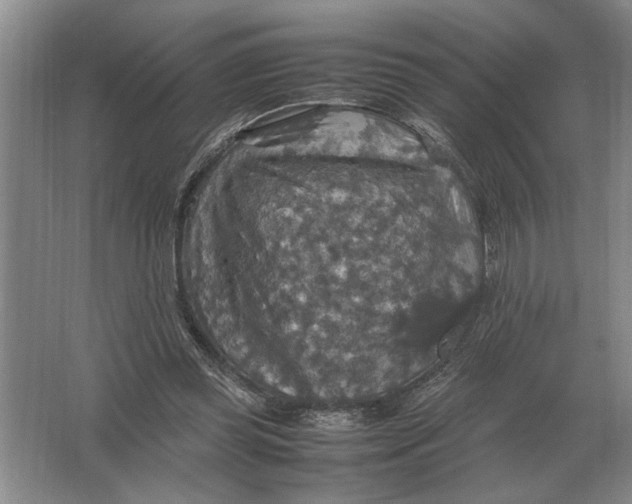 X0000064770349200603031831