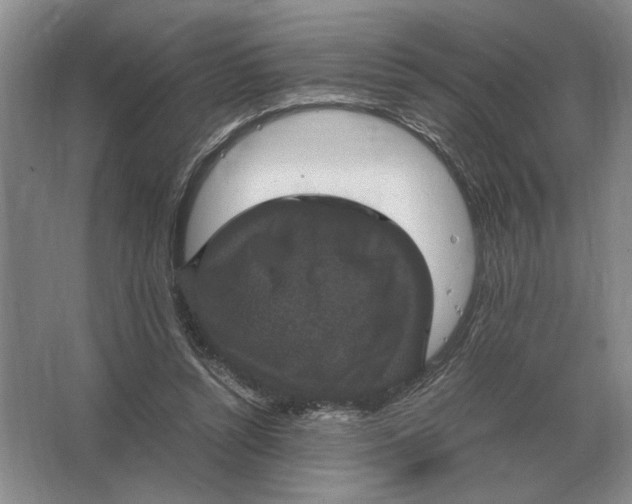 X0000064770352200603031831