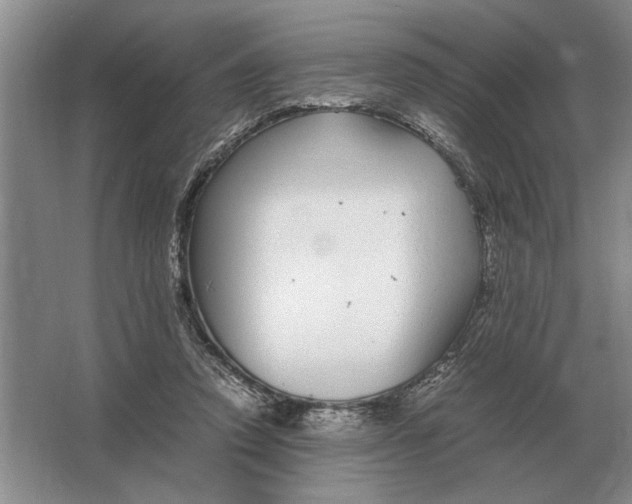 X0000064770354200603031831