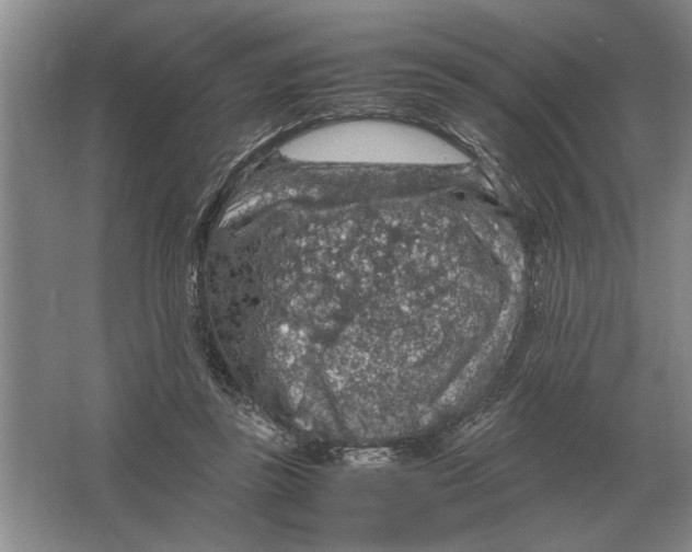 X0000064770355200603031831