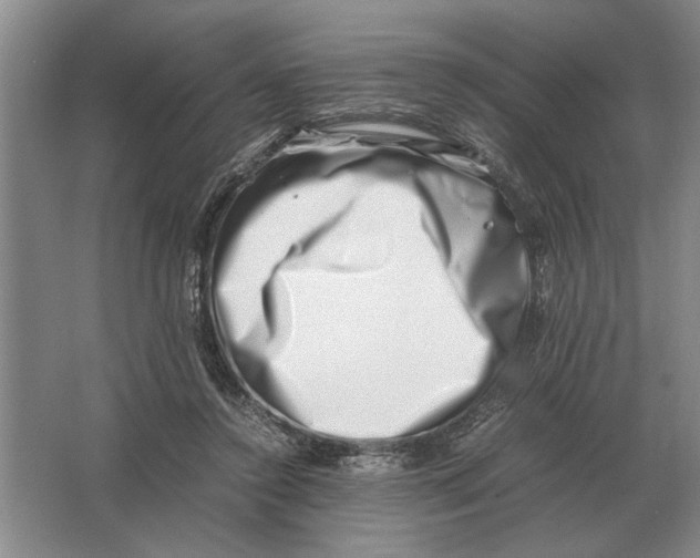 X0000064770356200603031831