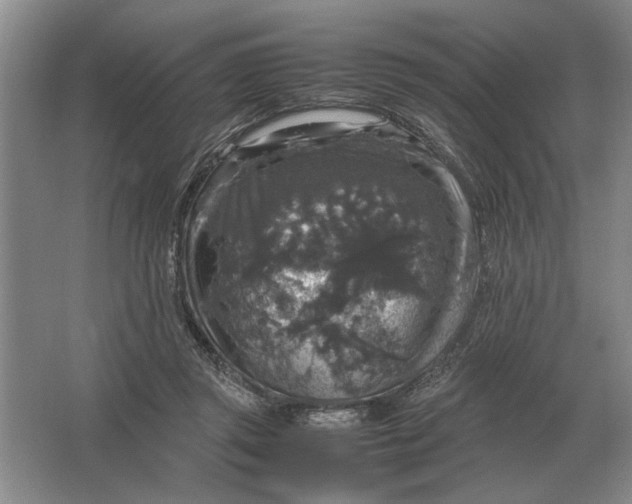 X0000064770357200603031831