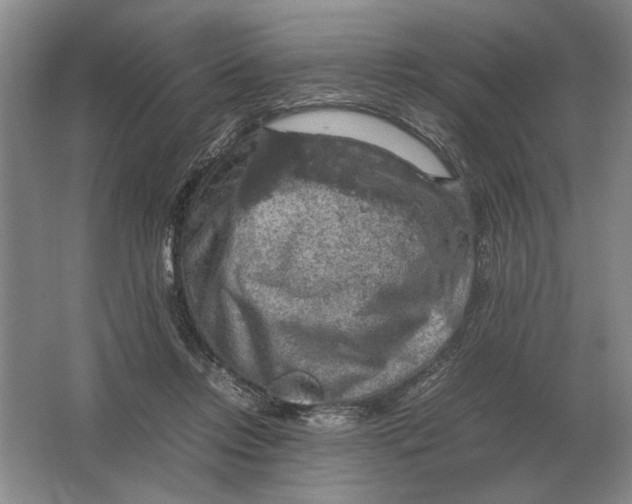 X0000064770358200603031831