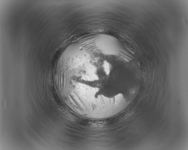 X0000064770359200603031831