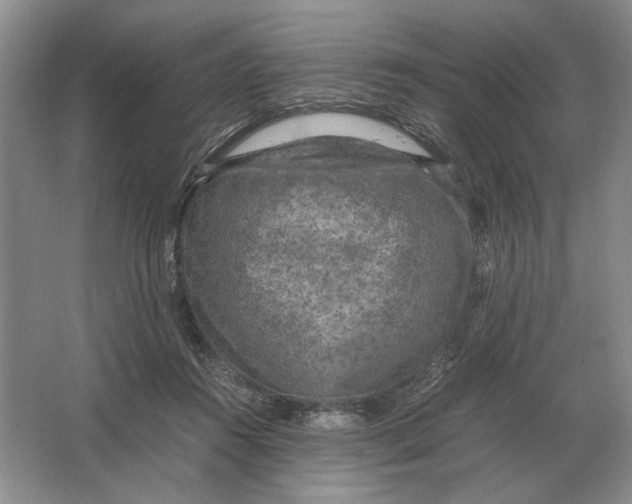 X0000064770360200603031831