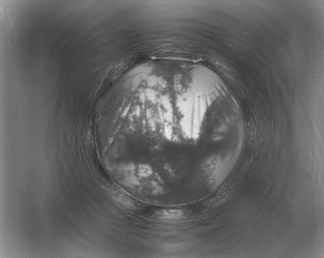 X0000064770361200603031831