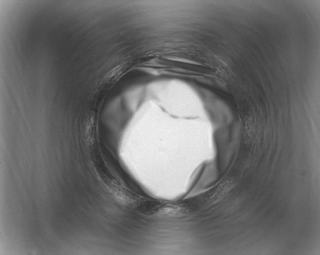 X0000064770364200603031831