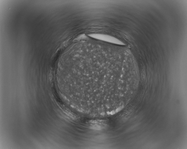 X0000064770367200603031831