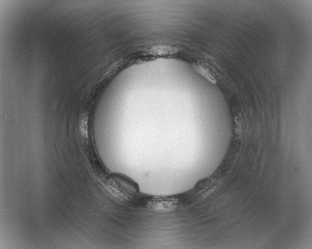 X0000064770368200603031831