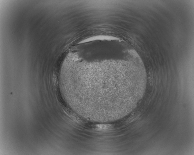 X0000064770371200603031831