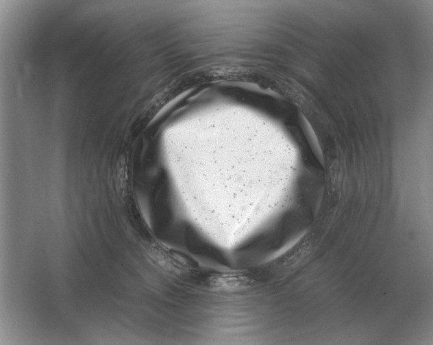 X0000064770372200603031831