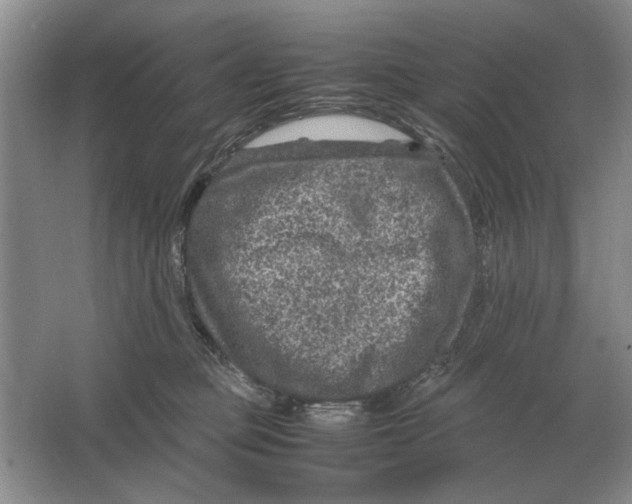 X0000064770373200603031831