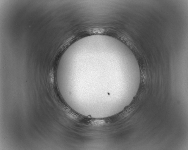 X0000064770374200603031831