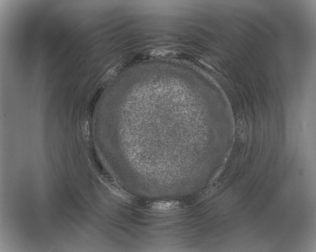 X0000064770375200603031831