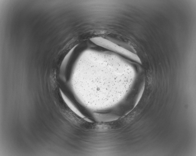 X0000064770376200603031831