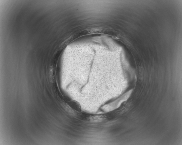 X0000064770378200603031832