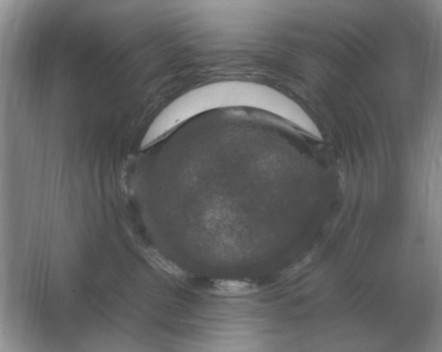 X0000064770380200603031832