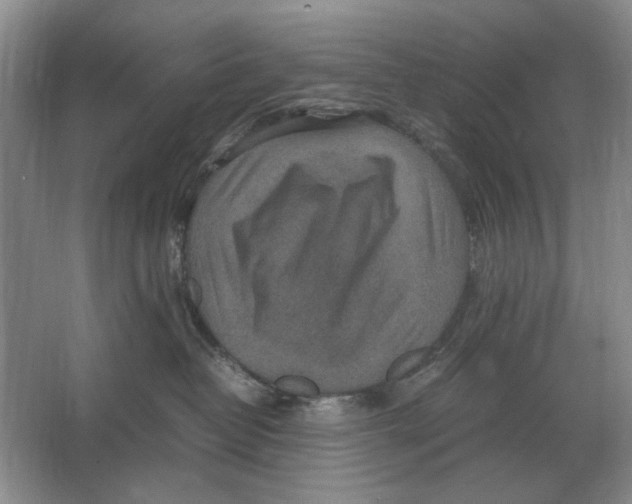 X0000064770382200603031832